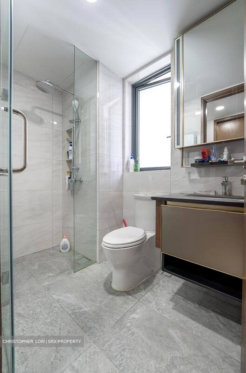 Normanton Park (D5), Apartment #470780031